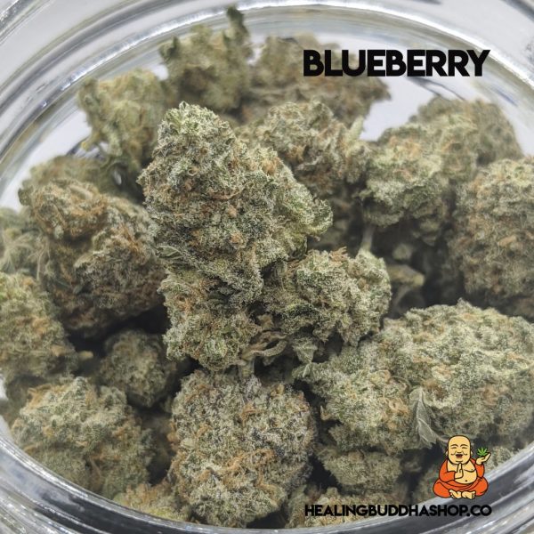 Blueberry - healingbuddhashop.co