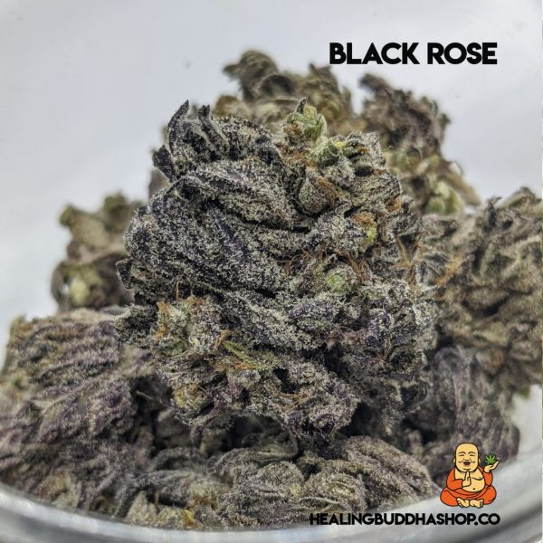 black rose AAAA - Healingbuddhashop.co