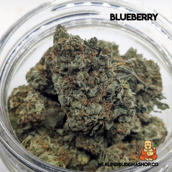 Blueberry - healingbuddhashop.co