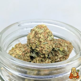 bubba - healingbuddhashop.co